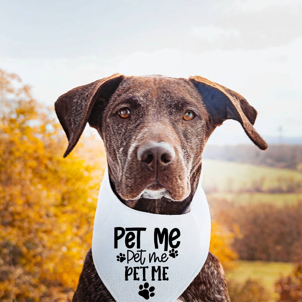 Pet Me Pet Me Pet Me Dog Bandana