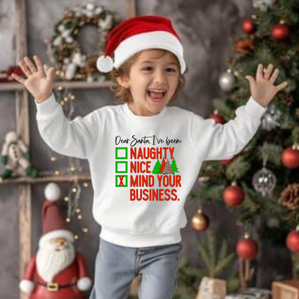 Dear Santa I’ve Been Naughty, Nice, Mind Your Business Sweatshirt